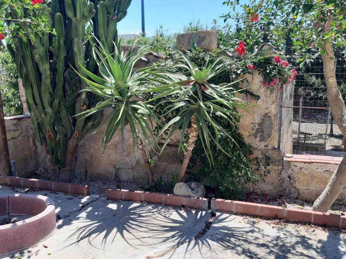 La Casa In Campagna Appartement Chiesa Nuova  Buitenkant foto