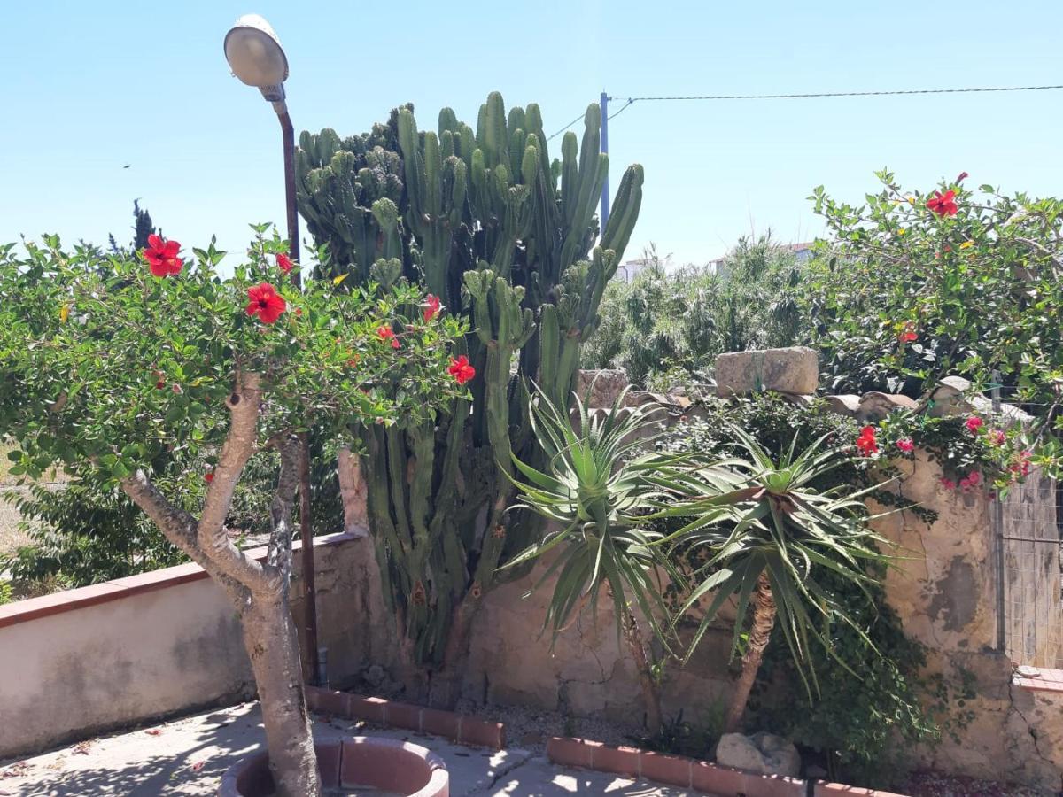 La Casa In Campagna Appartement Chiesa Nuova  Buitenkant foto